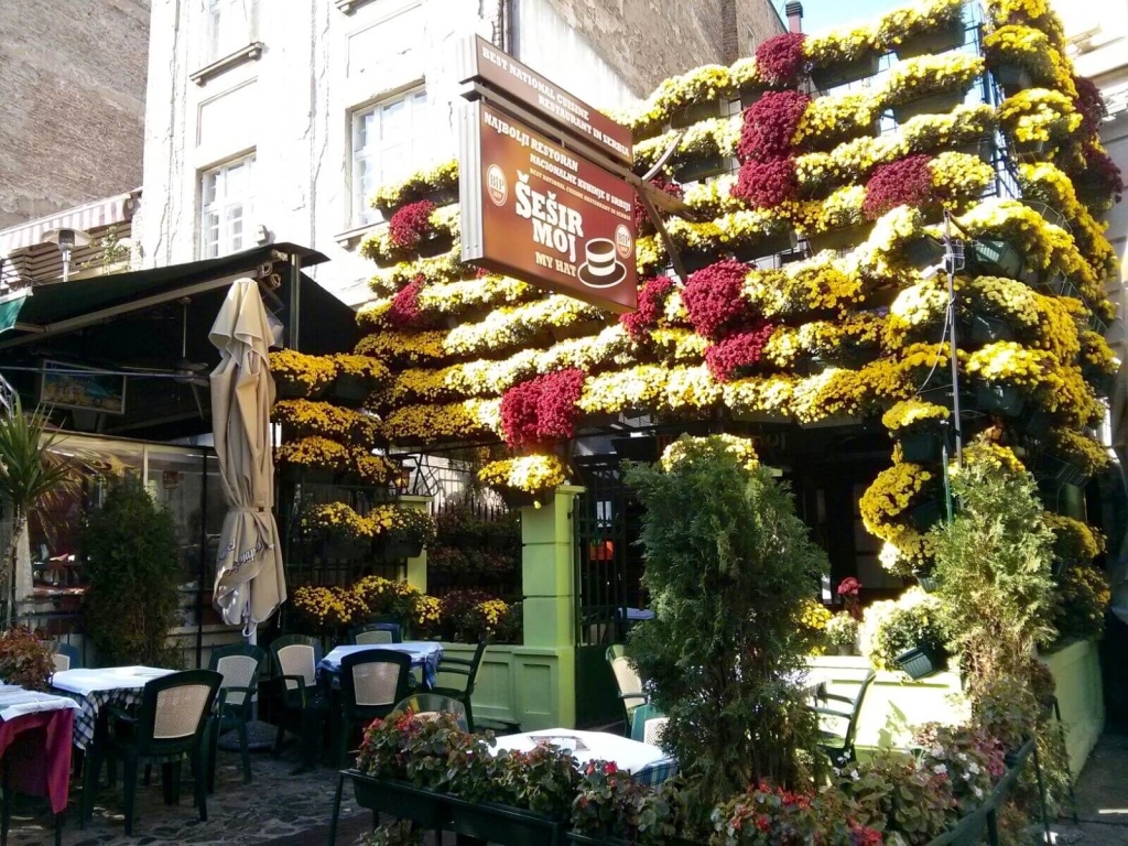 Skadarlija restaurant with flowers.