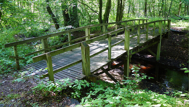 Foot bridge near Oerrel in the Lüneburg Heath. Taken by Oxfordian via Flickr.