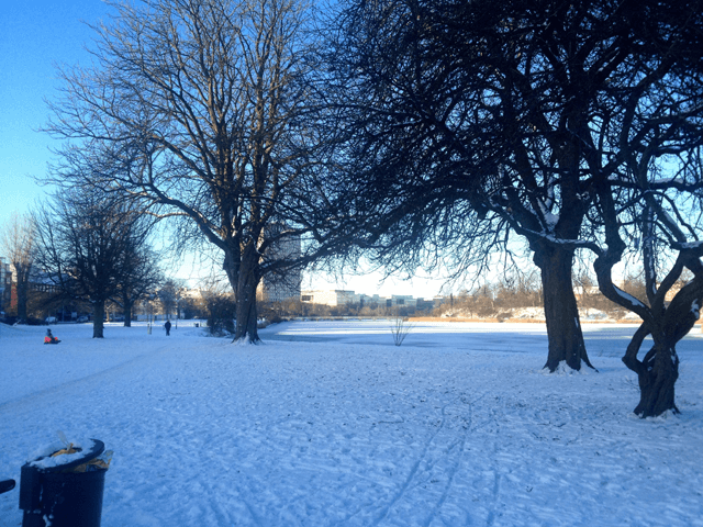 Snow in the park in Copenhagen.
