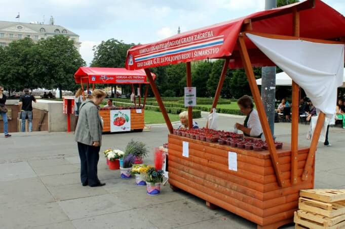 Local strawberry stand in Zagreb, Croatia. Taken by Kirstie. 